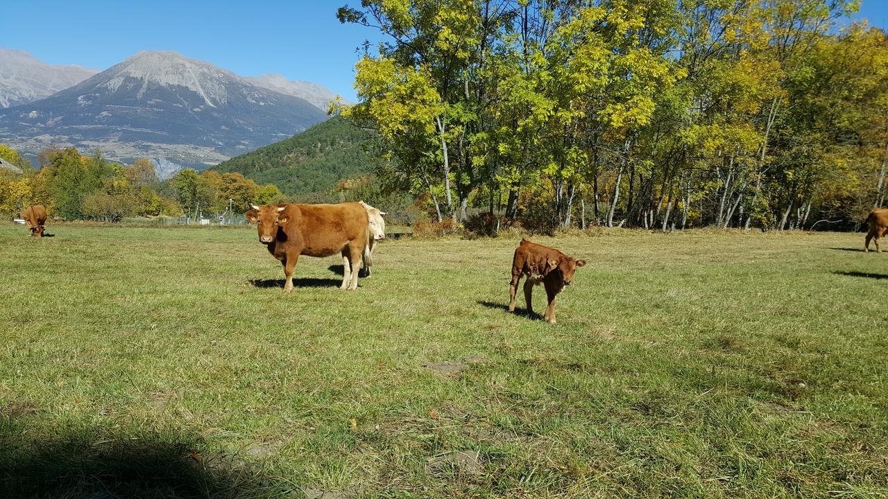 Gite De Boscodon Crots Zewnętrze zdjęcie